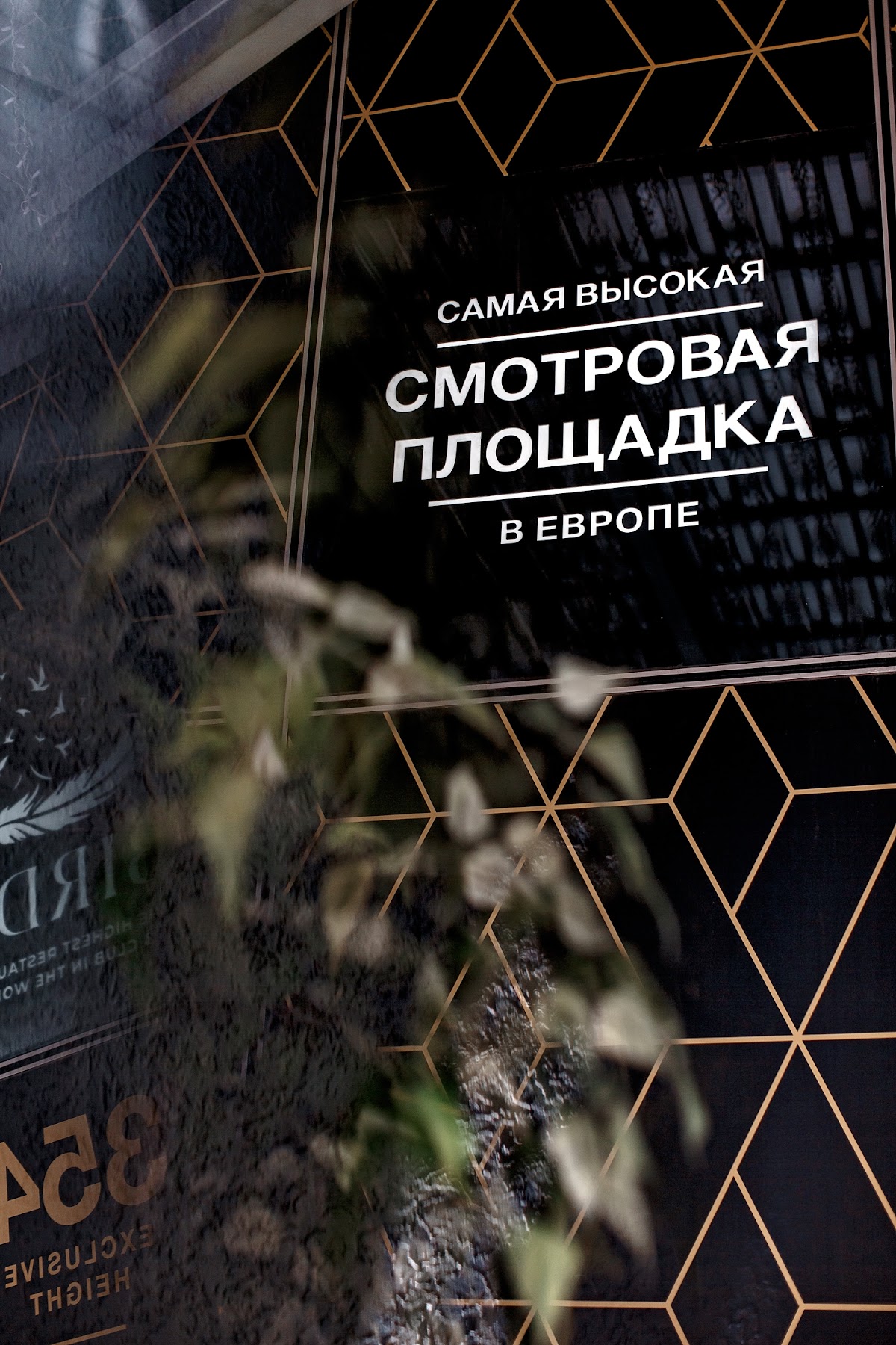 Ольга и Алексей