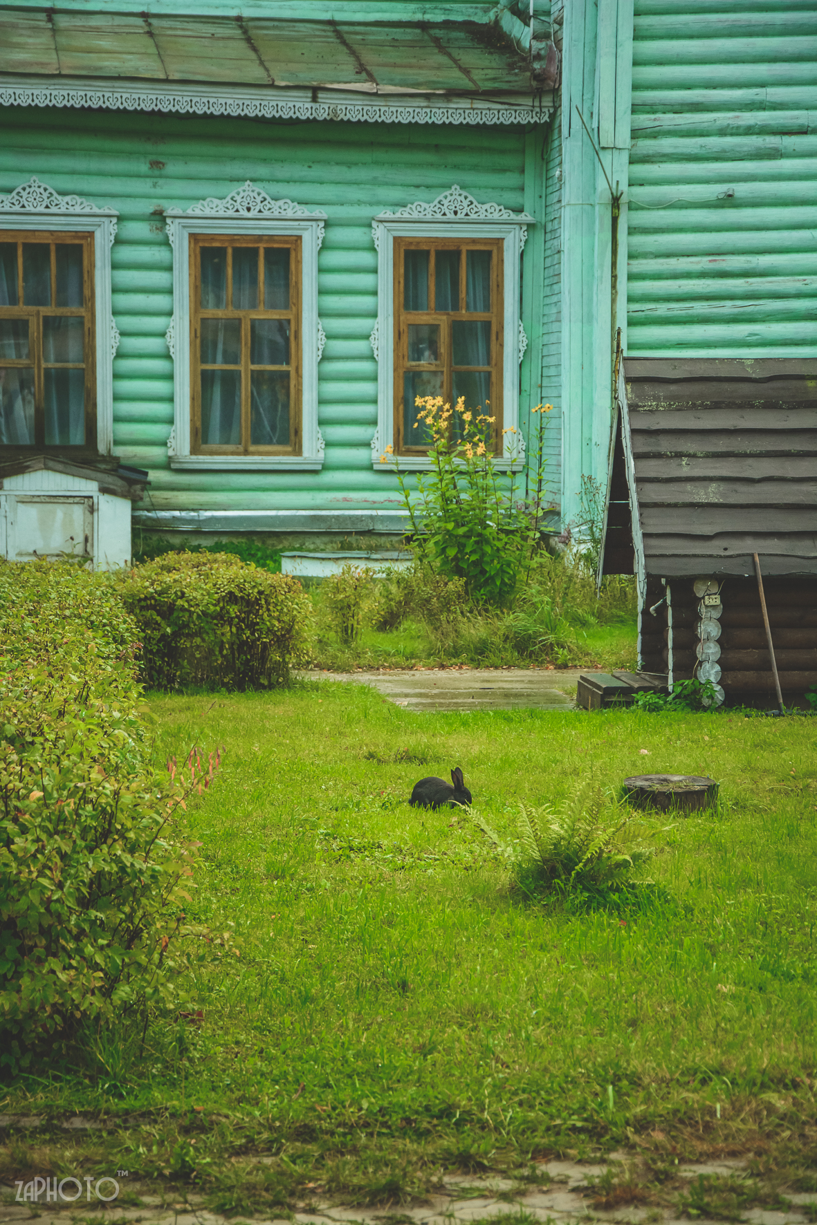 5.09 Анжелика Эдуард