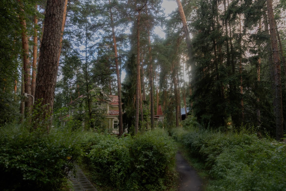 Полина и Артем