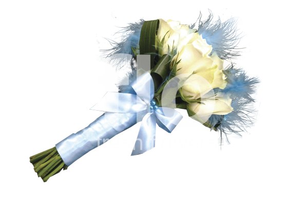 FLO fresh flowers