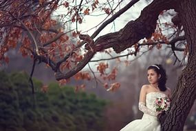 Елена Ситникова