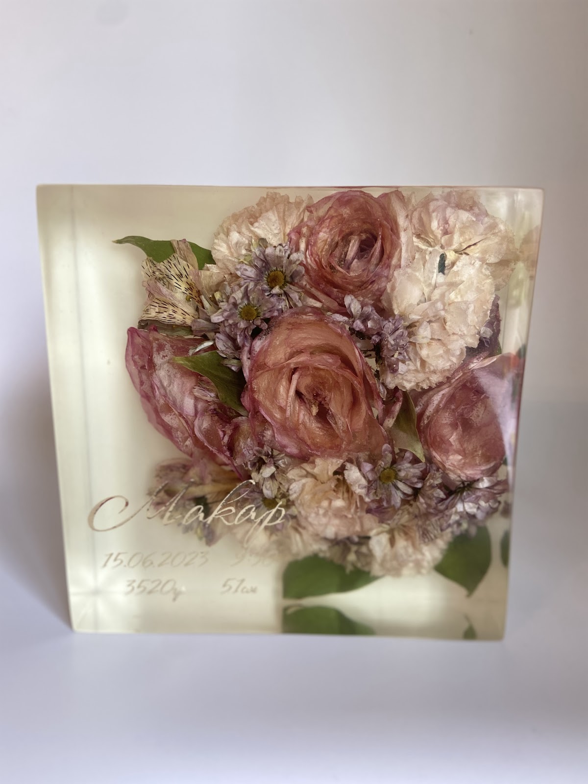 Фотографии