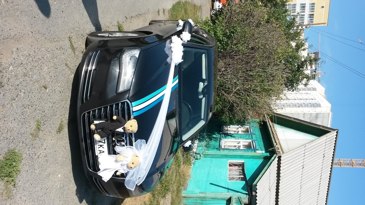 Фотографии