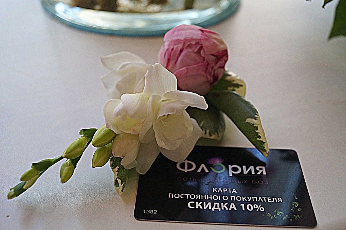 Портфолио