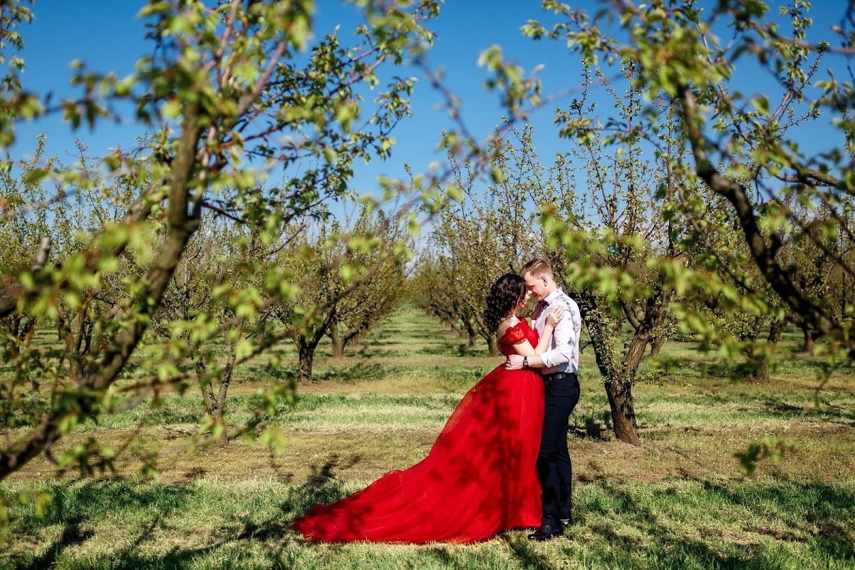 Фотосессия в яблоневых садах | Краснодар