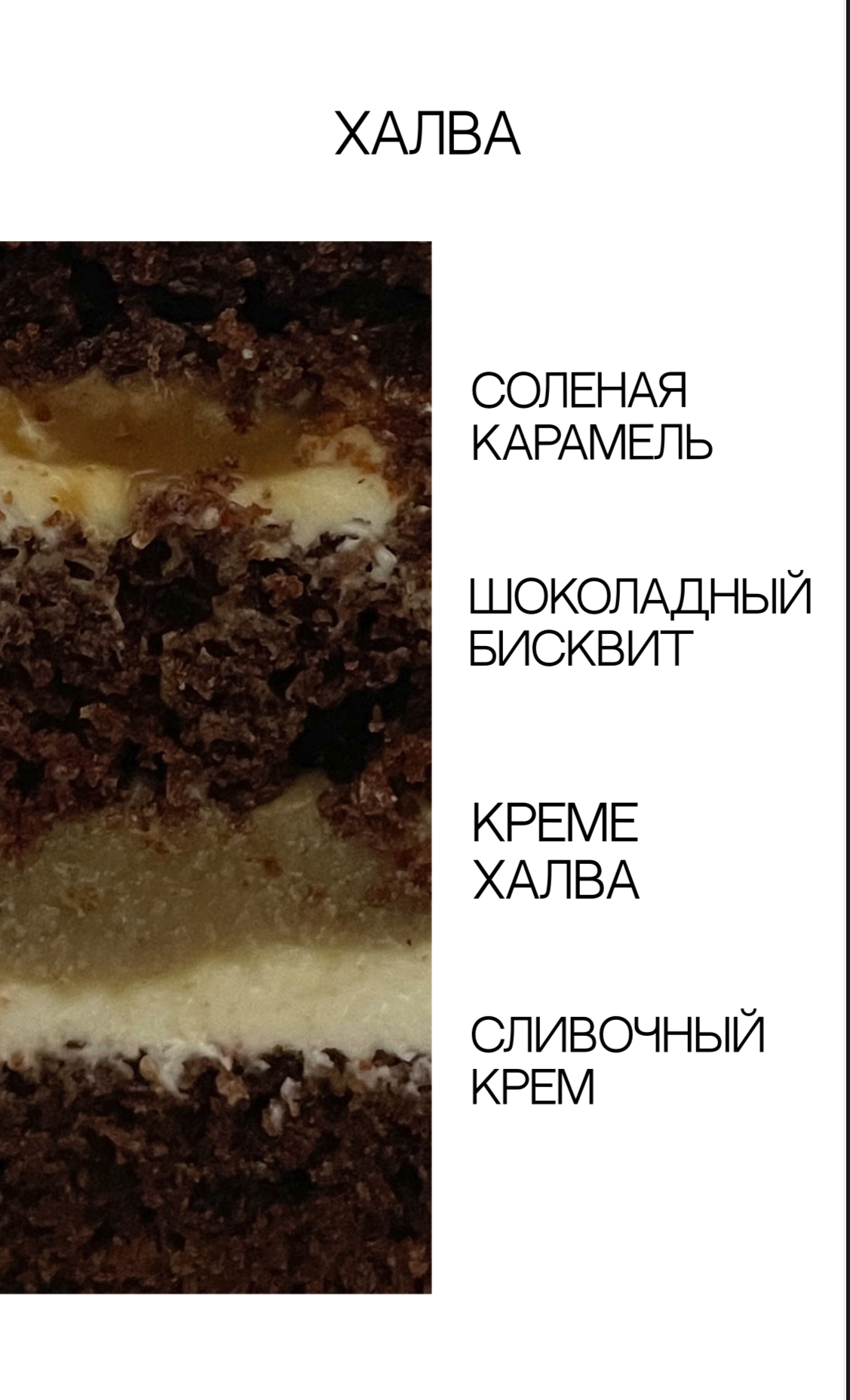 Фотографии