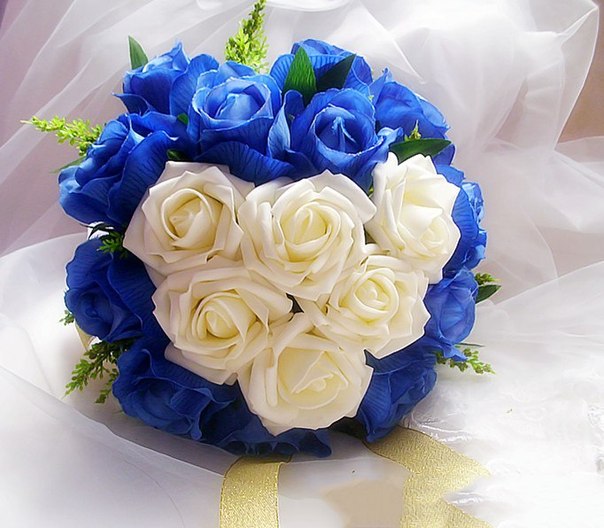 Кадр 41 из 47