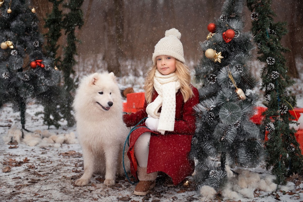 Портфолио: Новогодняя фотосъемка