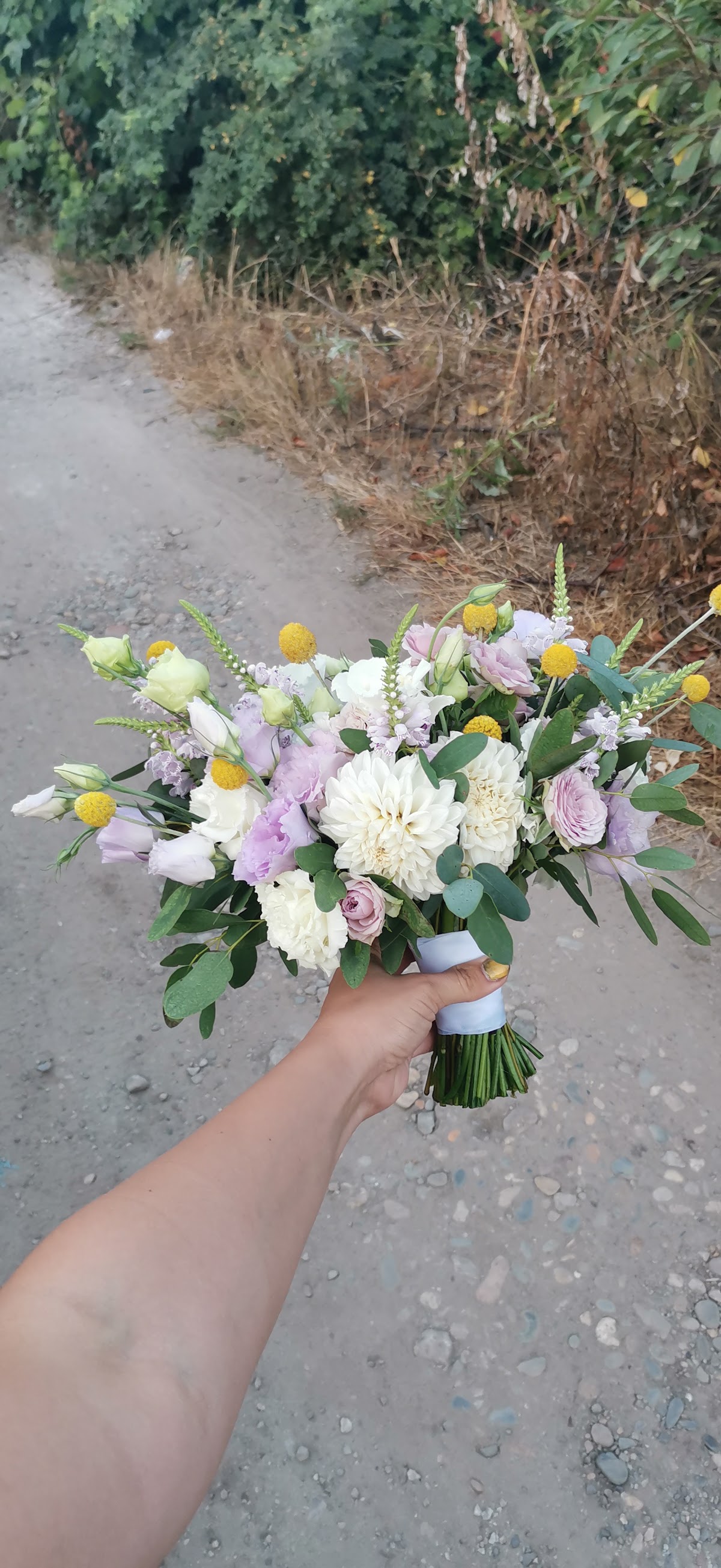 Анастасия Гринько