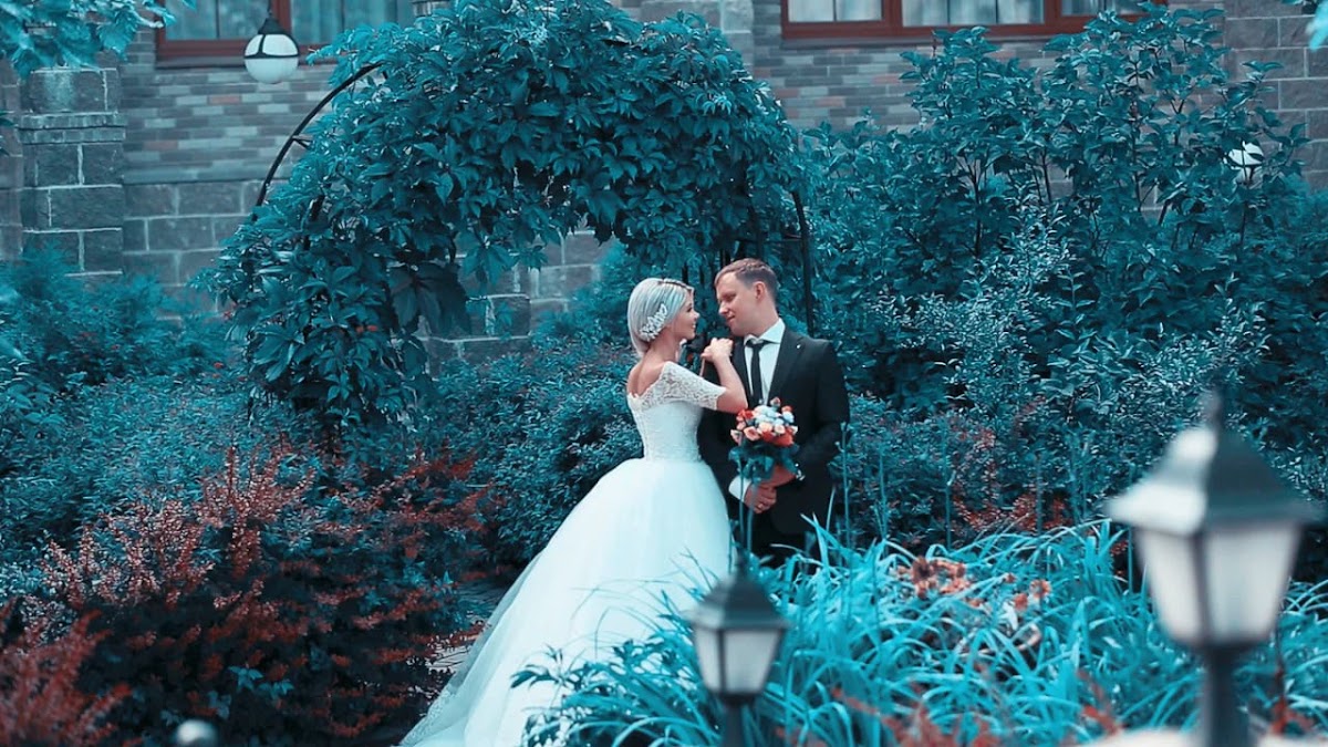 Фотографии