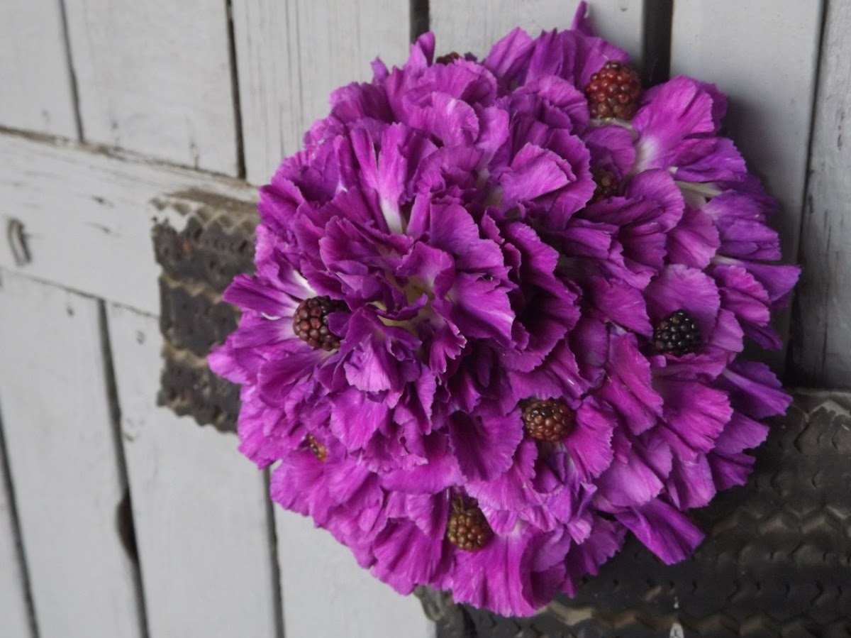 Les Fleur
