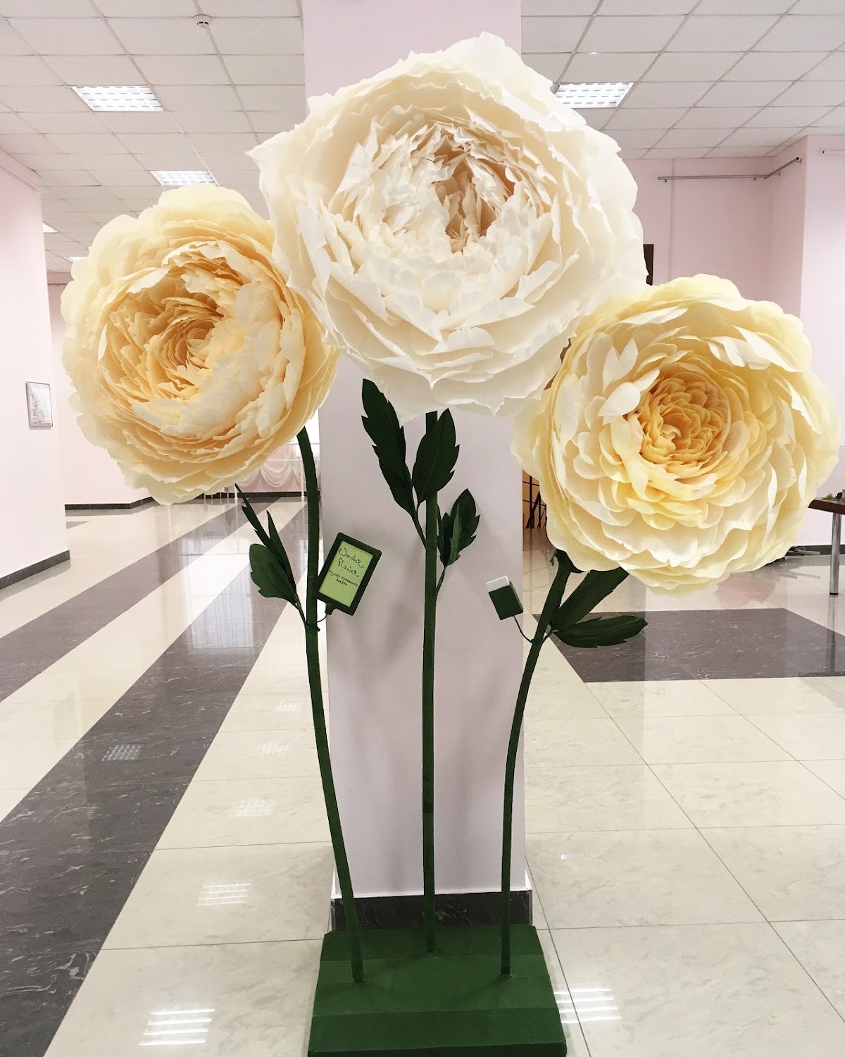 Wonder Flower