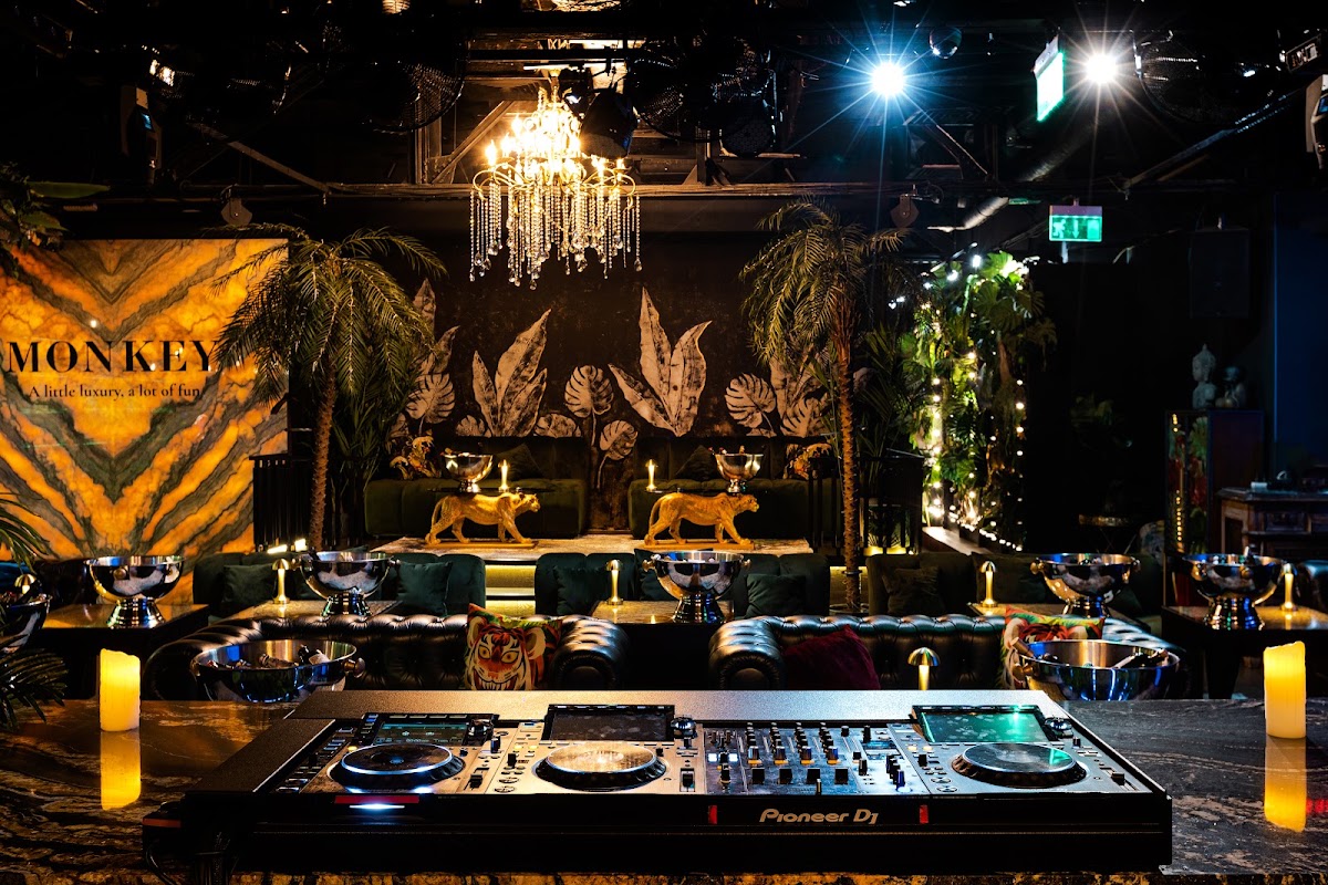 Monkey Lounge & Bar