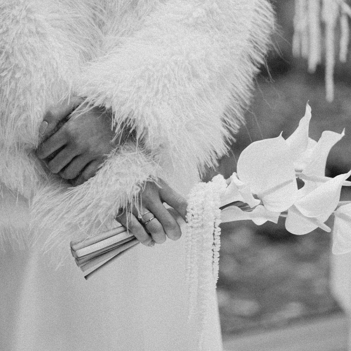 HIDE | 4.10