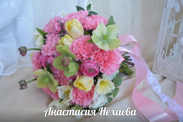 Портфолио